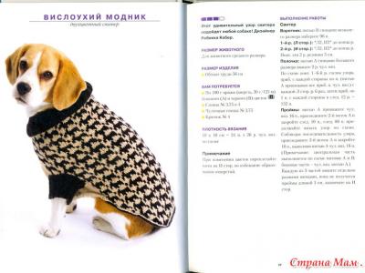 Вязаные свитера для собаки Как связать свитер для собачки маленькой